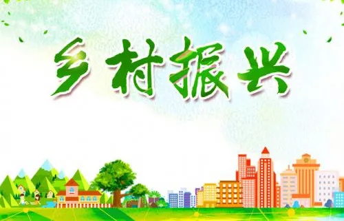 鄉(xiāng)村振興戰(zhàn)略的基本原則是什么？具體有這七大原則！