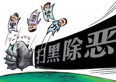 掃黑除惡非一日之役，須久久為功