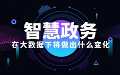 大數(shù)據(jù)下智慧政務(wù)的變化有哪些？